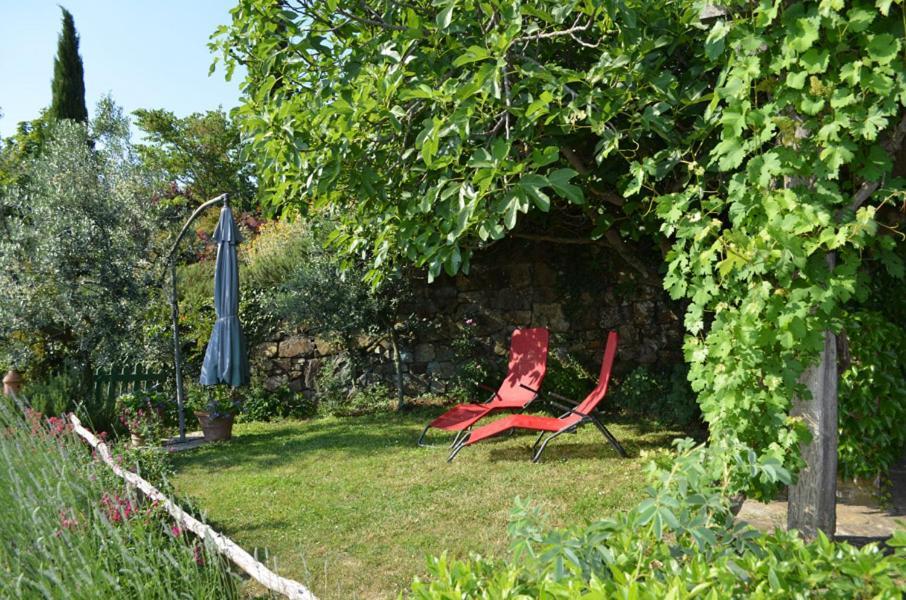 Casa Ercole Farm Farm stay Greve in Chianti