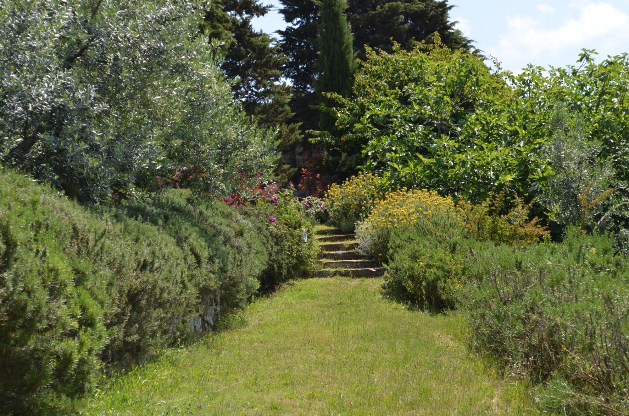 Farm stay Casa Ercole Farm Greve in Chianti