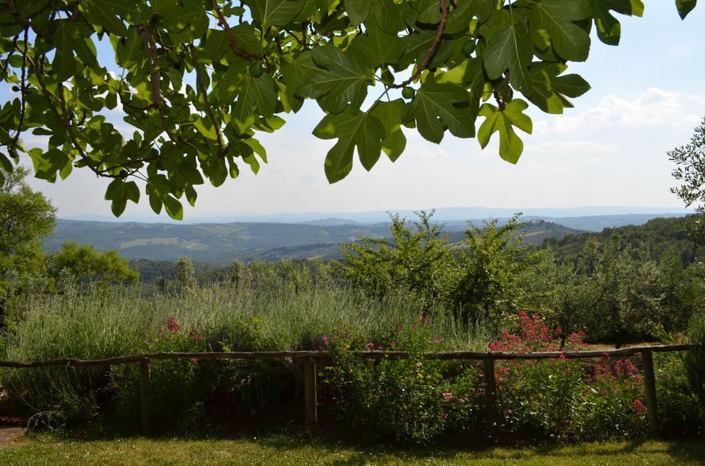 Casa Ercole Farm Farm stay