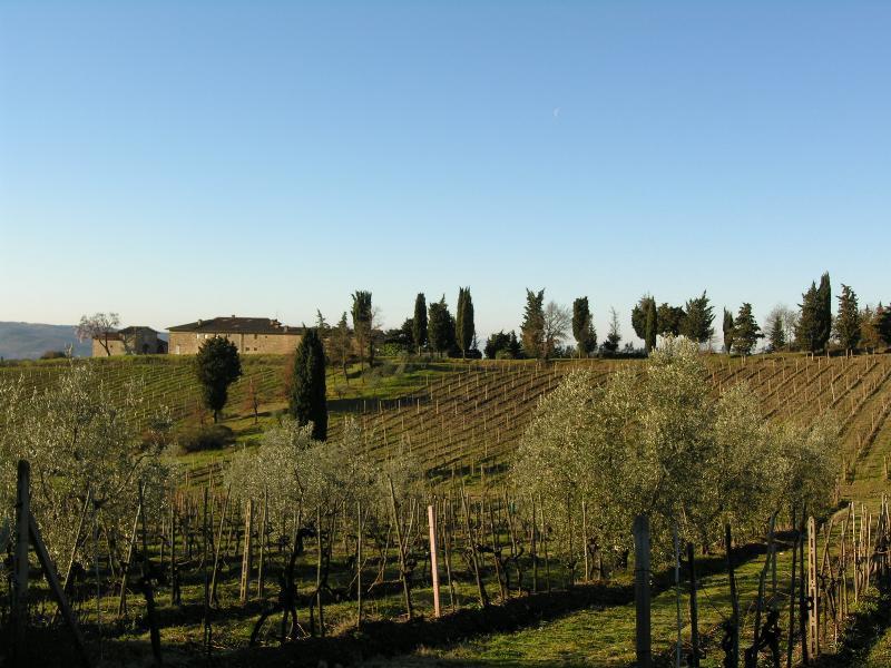 Casa Ercole Farm