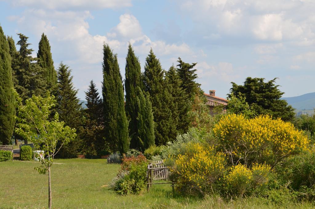 Casa Ercole Farm * Greve in Chianti