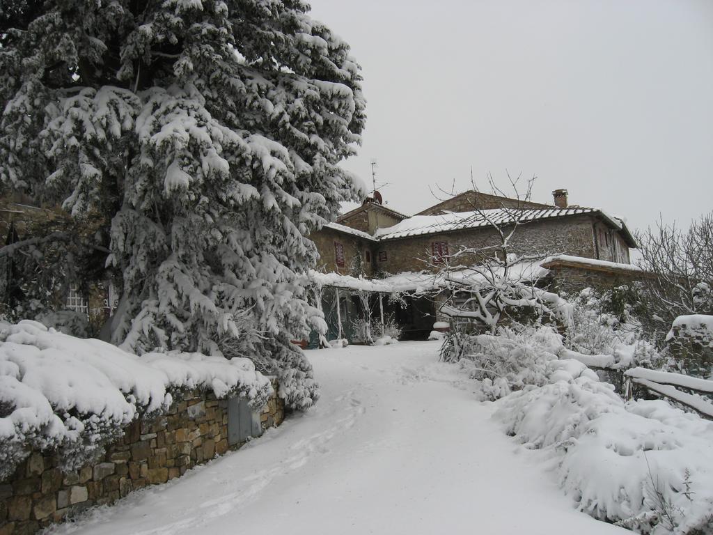 Casa Ercole Farm Farm stay Greve in Chianti