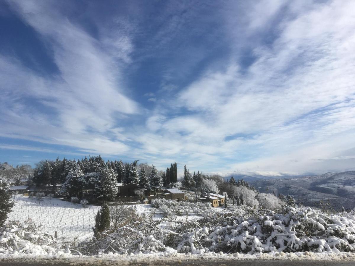 Casa Ercole Farm Greve in Chianti